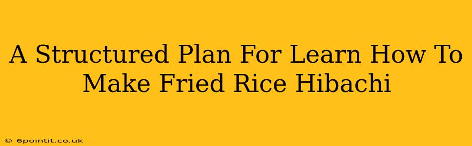 A Structured Plan For Learn How To Make Fried Rice Hibachi