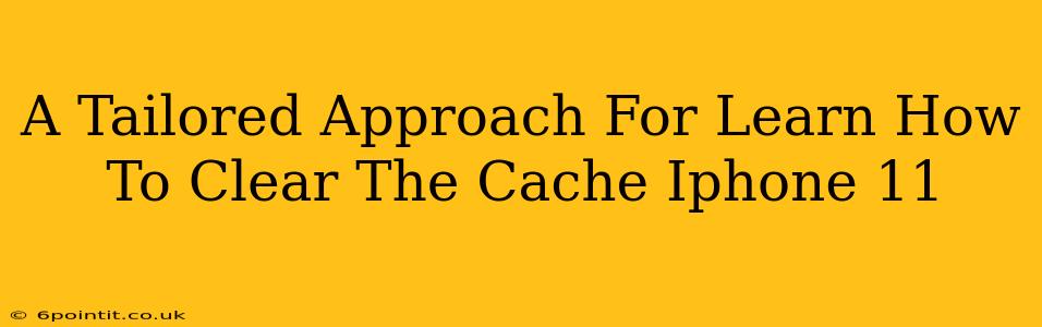 A Tailored Approach For Learn How To Clear The Cache Iphone 11