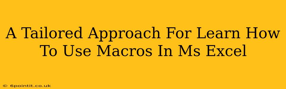 A Tailored Approach For Learn How To Use Macros In Ms Excel