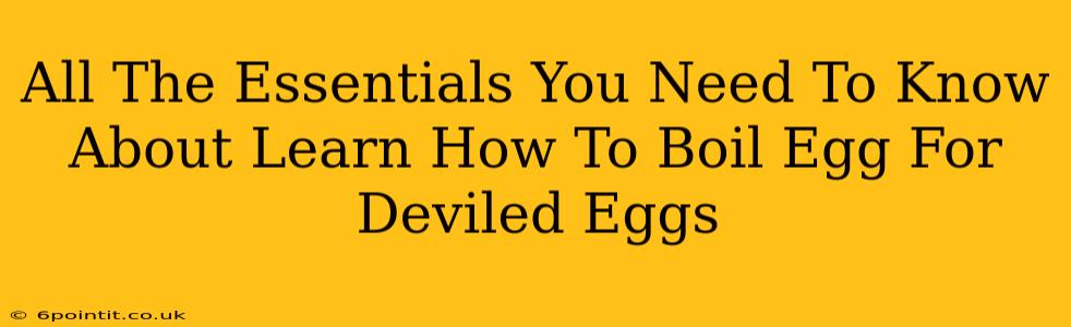 All The Essentials You Need To Know About Learn How To Boil Egg For Deviled Eggs