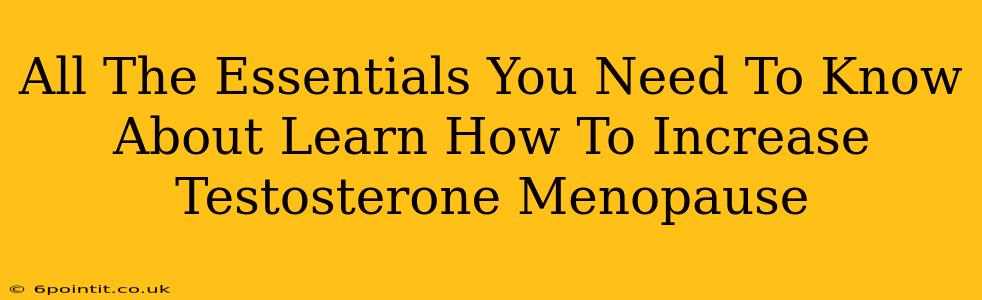 All The Essentials You Need To Know About Learn How To Increase Testosterone Menopause