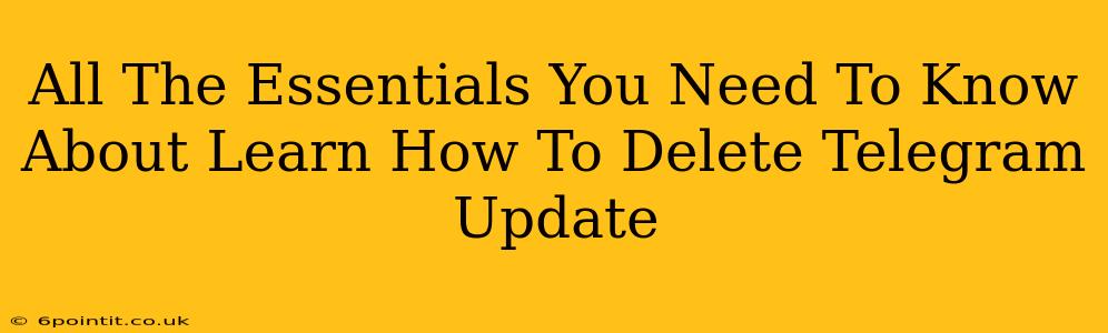 All The Essentials You Need To Know About Learn How To Delete Telegram Update