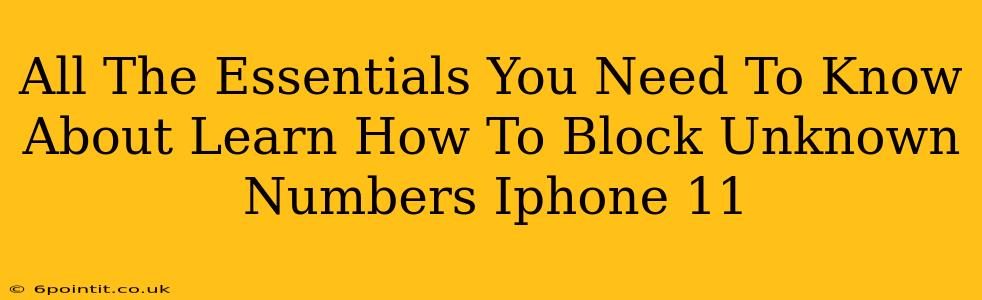 All The Essentials You Need To Know About Learn How To Block Unknown Numbers Iphone 11