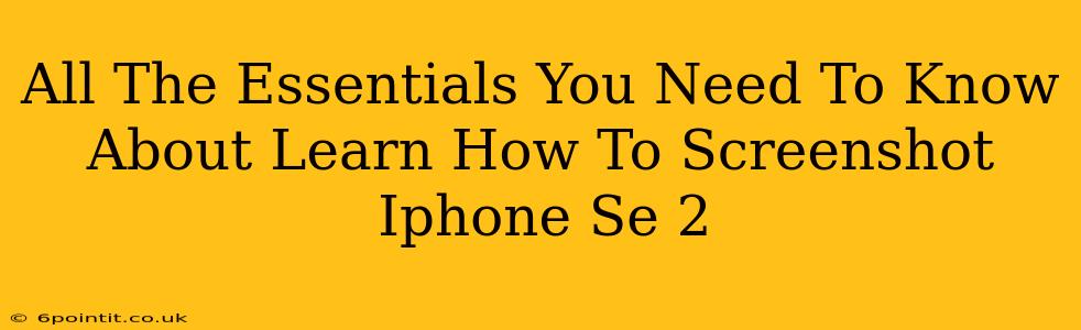 All The Essentials You Need To Know About Learn How To Screenshot Iphone Se 2