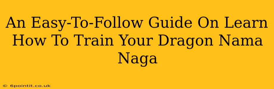 An Easy-To-Follow Guide On Learn How To Train Your Dragon Nama Naga