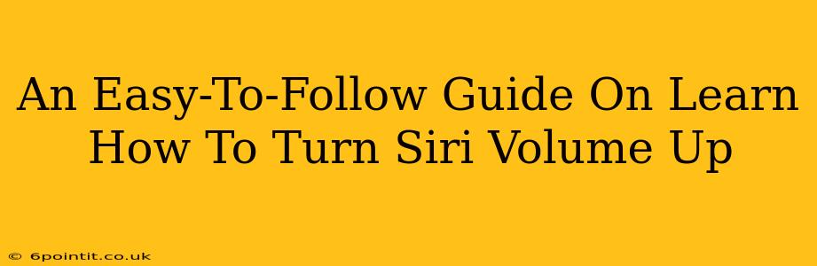 An Easy-To-Follow Guide On Learn How To Turn Siri Volume Up