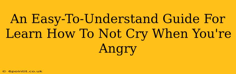 An Easy-To-Understand Guide For Learn How To Not Cry When You're Angry