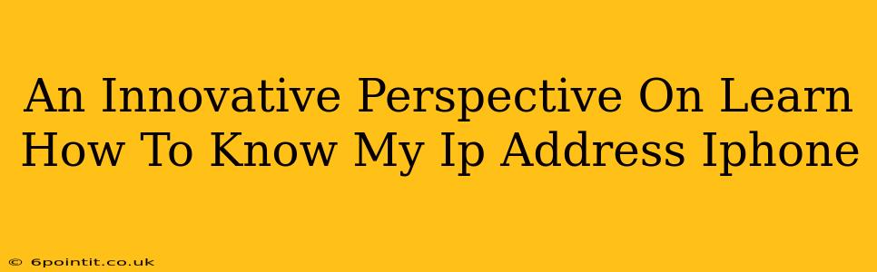 An Innovative Perspective On Learn How To Know My Ip Address Iphone