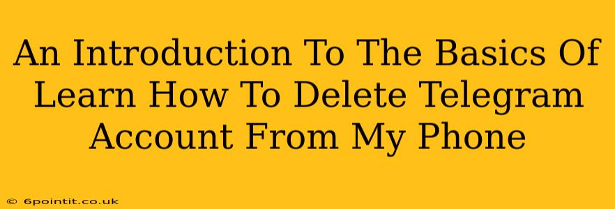 An Introduction To The Basics Of Learn How To Delete Telegram Account From My Phone