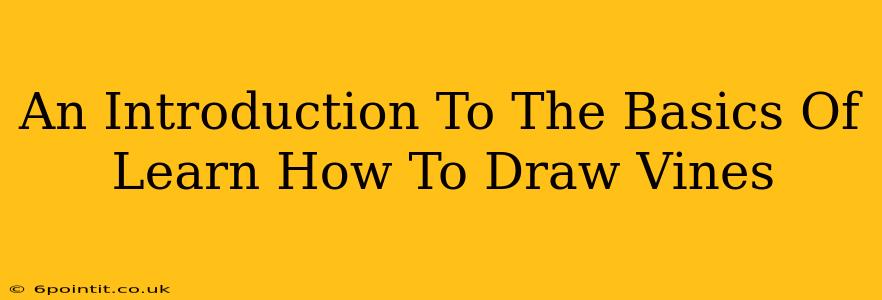 An Introduction To The Basics Of Learn How To Draw Vines