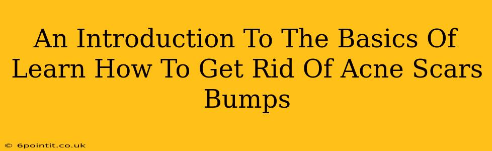 An Introduction To The Basics Of Learn How To Get Rid Of Acne Scars Bumps