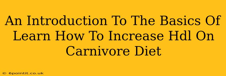 An Introduction To The Basics Of Learn How To Increase Hdl On Carnivore Diet