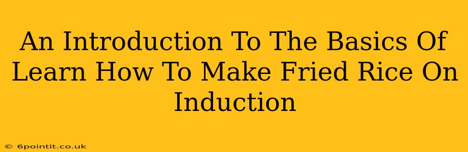 An Introduction To The Basics Of Learn How To Make Fried Rice On Induction