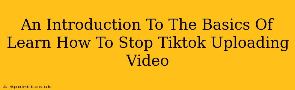 An Introduction To The Basics Of Learn How To Stop Tiktok Uploading Video