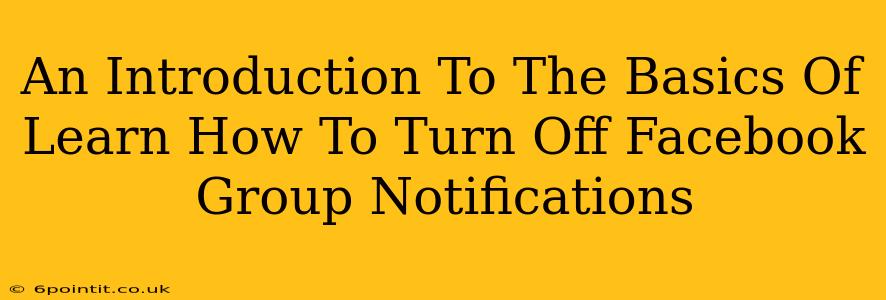 An Introduction To The Basics Of Learn How To Turn Off Facebook Group Notifications