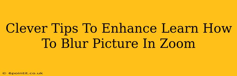 Clever Tips To Enhance Learn How To Blur Picture In Zoom