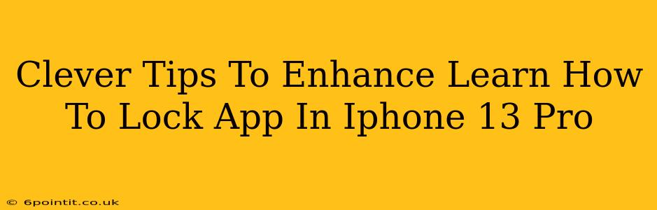 Clever Tips To Enhance Learn How To Lock App In Iphone 13 Pro