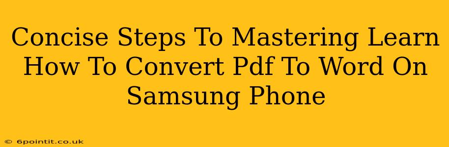 Concise Steps To Mastering Learn How To Convert Pdf To Word On Samsung Phone