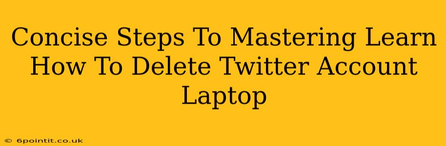 Concise Steps To Mastering Learn How To Delete Twitter Account Laptop