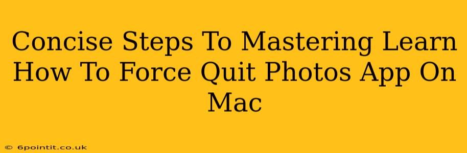 Concise Steps To Mastering Learn How To Force Quit Photos App On Mac