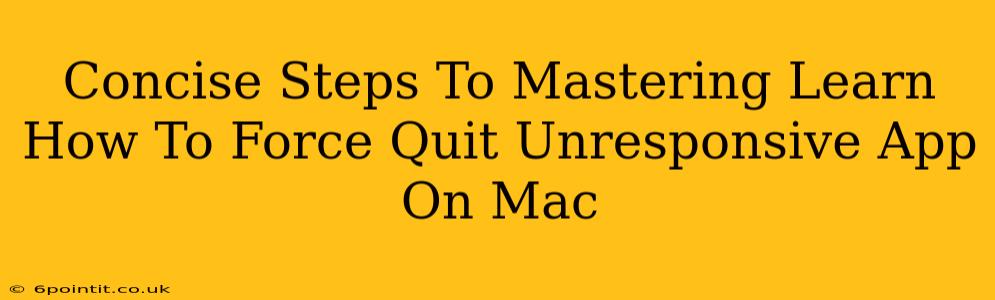 Concise Steps To Mastering Learn How To Force Quit Unresponsive App On Mac