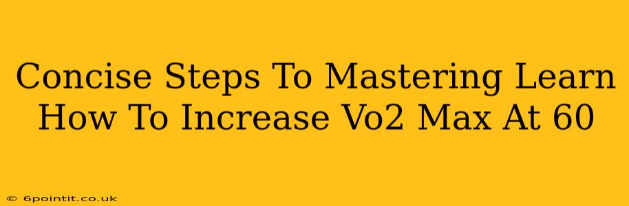 Concise Steps To Mastering Learn How To Increase Vo2 Max At 60