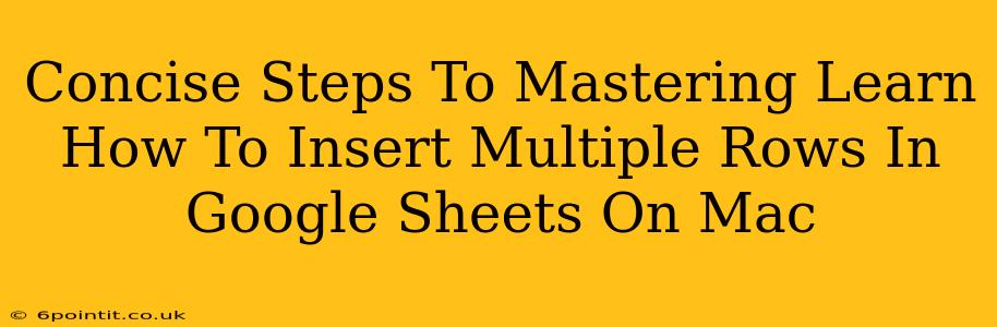 Concise Steps To Mastering Learn How To Insert Multiple Rows In Google Sheets On Mac