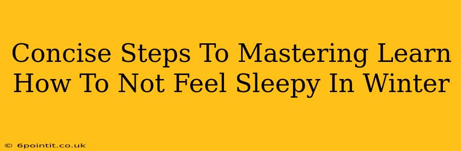 Concise Steps To Mastering Learn How To Not Feel Sleepy In Winter