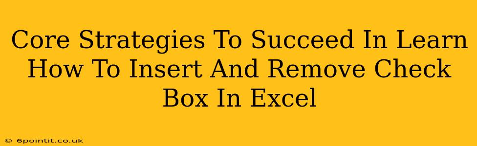 Core Strategies To Succeed In Learn How To Insert And Remove Check Box In Excel