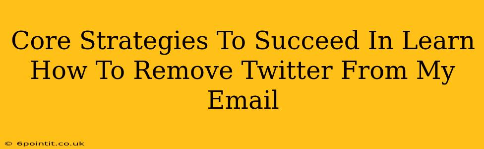 Core Strategies To Succeed In Learn How To Remove Twitter From My Email