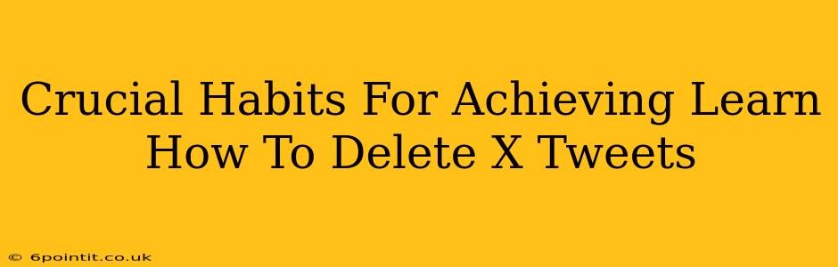 Crucial Habits For Achieving Learn How To Delete X Tweets