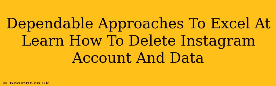 Dependable Approaches To Excel At Learn How To Delete Instagram Account And Data