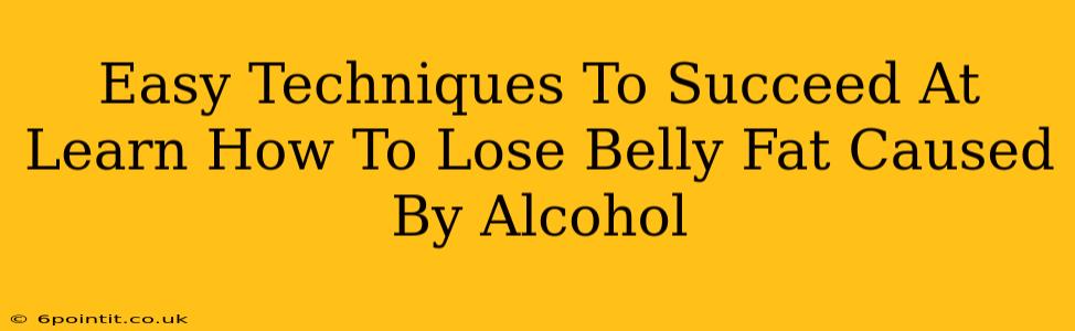 Easy Techniques To Succeed At Learn How To Lose Belly Fat Caused By Alcohol