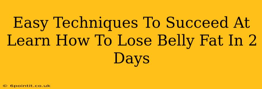 Easy Techniques To Succeed At Learn How To Lose Belly Fat In 2 Days