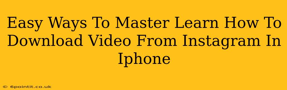 Easy Ways To Master Learn How To Download Video From Instagram In Iphone