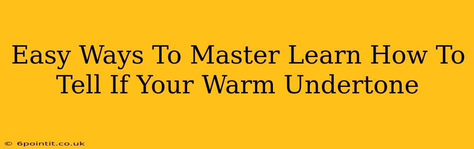 Easy Ways To Master Learn How To Tell If Your Warm Undertone