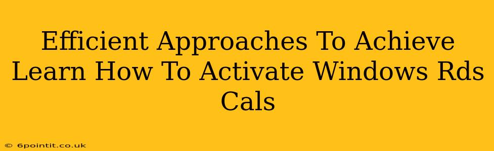 Efficient Approaches To Achieve Learn How To Activate Windows Rds Cals