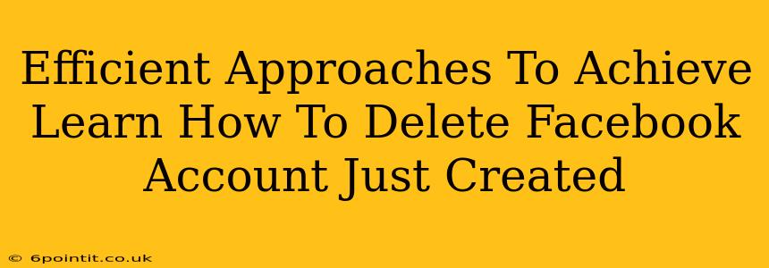 Efficient Approaches To Achieve Learn How To Delete Facebook Account Just Created