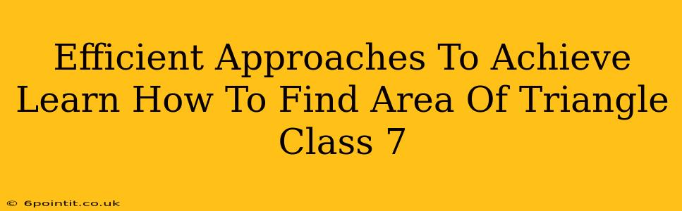 Efficient Approaches To Achieve Learn How To Find Area Of Triangle Class 7