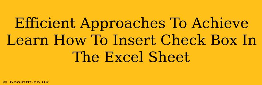 Efficient Approaches To Achieve Learn How To Insert Check Box In The Excel Sheet