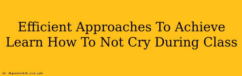 Efficient Approaches To Achieve Learn How To Not Cry During Class