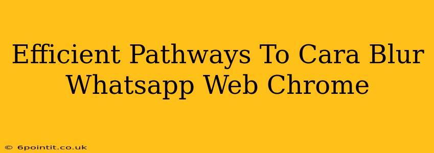 Efficient Pathways To Cara Blur Whatsapp Web Chrome