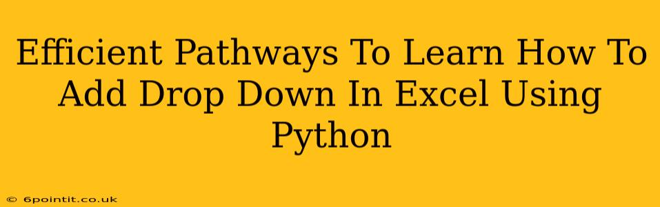 Efficient Pathways To Learn How To Add Drop Down In Excel Using Python