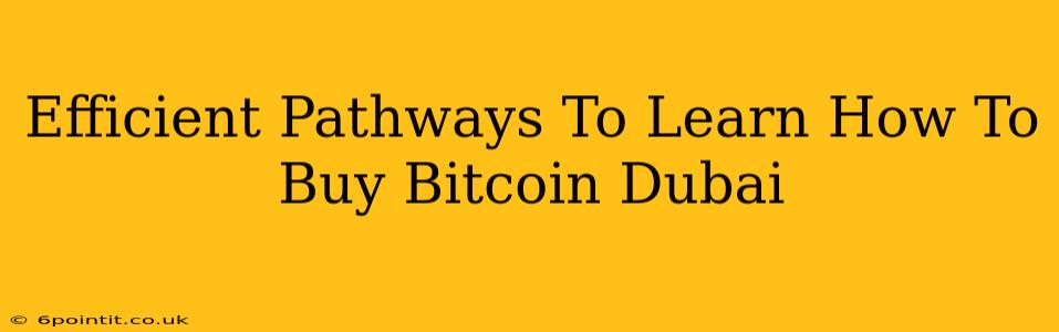 Efficient Pathways To Learn How To Buy Bitcoin Dubai