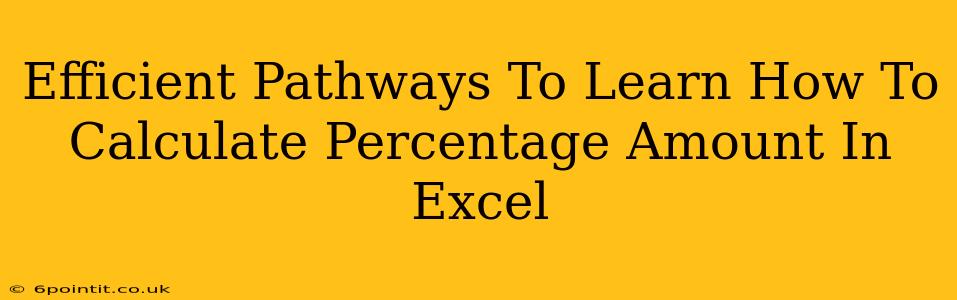 Efficient Pathways To Learn How To Calculate Percentage Amount In Excel