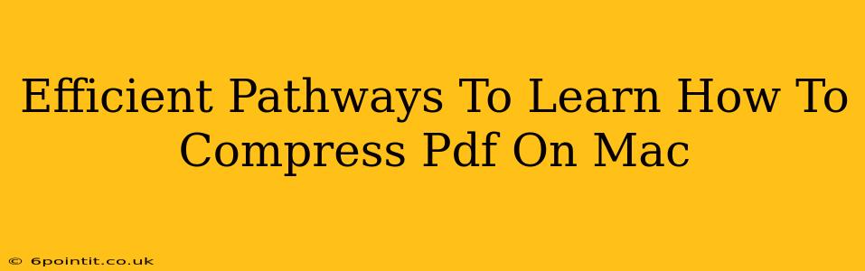 Efficient Pathways To Learn How To Compress Pdf On Mac