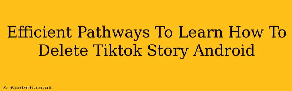 Efficient Pathways To Learn How To Delete Tiktok Story Android