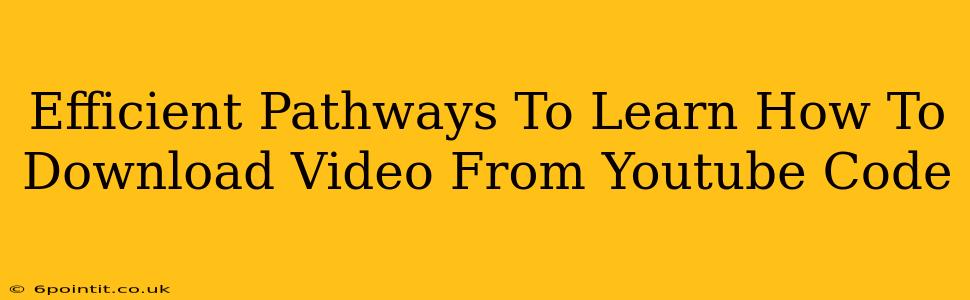 Efficient Pathways To Learn How To Download Video From Youtube Code