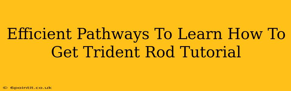 Efficient Pathways To Learn How To Get Trident Rod Tutorial