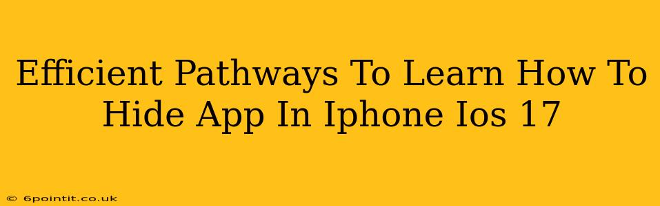 Efficient Pathways To Learn How To Hide App In Iphone Ios 17